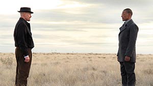 Полная мера